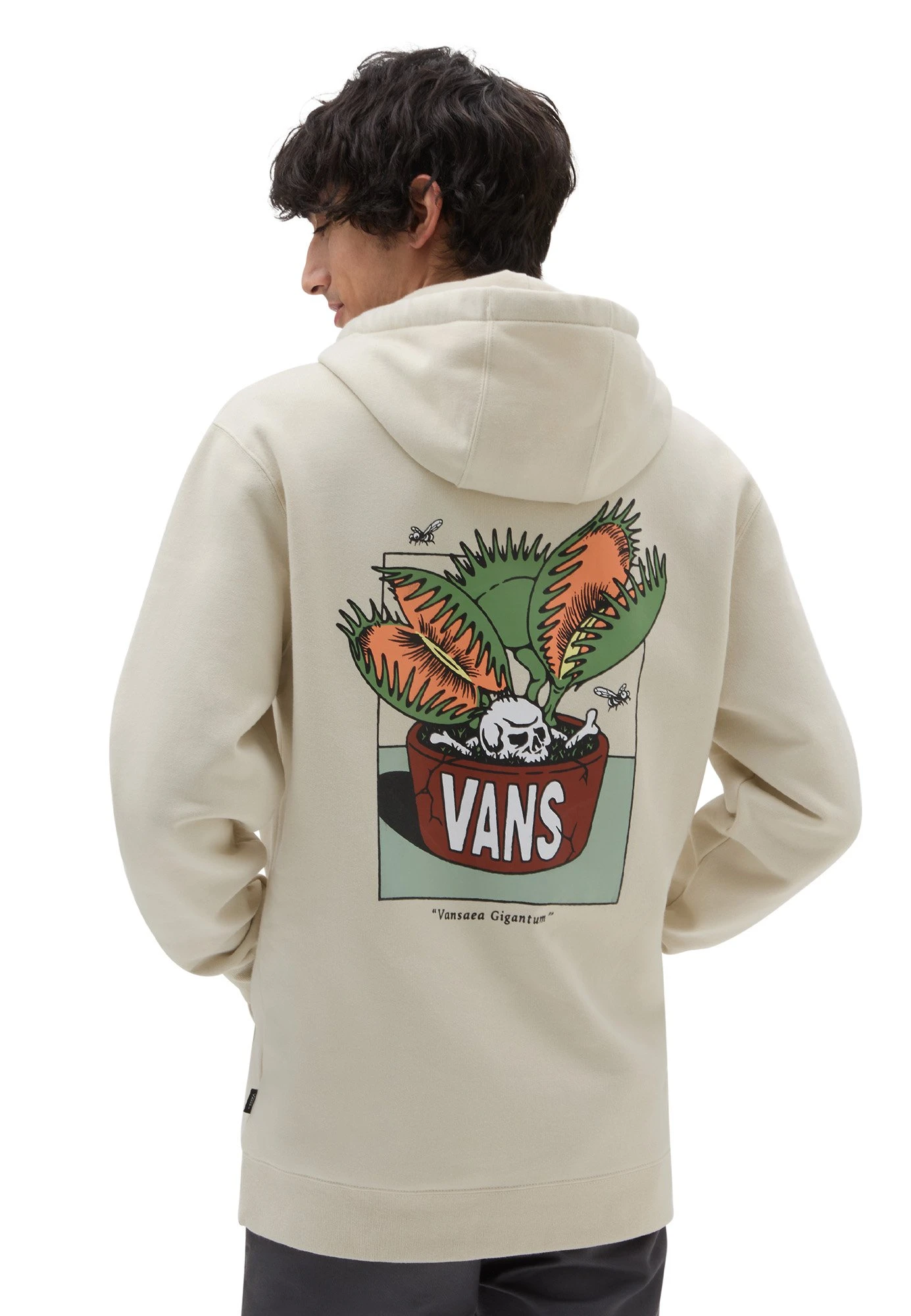 Vans Sweat À Capuche - Light Beige – Image 2